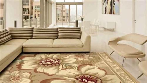 铺地毯的好处有哪些之美化和装饰环境