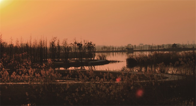 南湖湿地