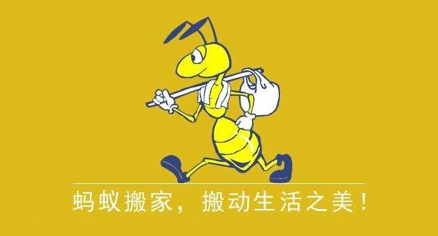 螞蟻搬家，搬生活之美