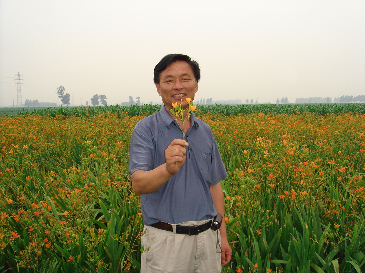 河北省安国市药用植物种植基地-药材种子,杜仲种植,苗