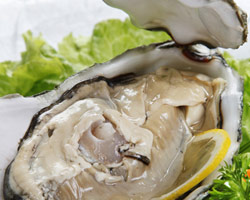 活海膏蟹的挑选及食用季节