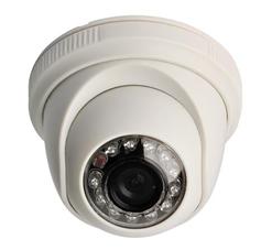 900TVL plastic indoor dome Security Camera/CCTV Camera/Analog Camera TTB-G199R8