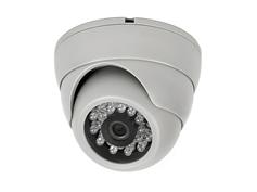 800TVL plastic indoor dome Security Camera/CCTV Camera/Analog Camera TTB-G389G5