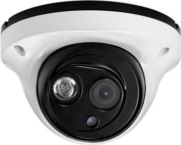 2Megapixel Vandalproof with Waterproof Security Camera/IP Camera/Network Camera TTB-IPC32310P