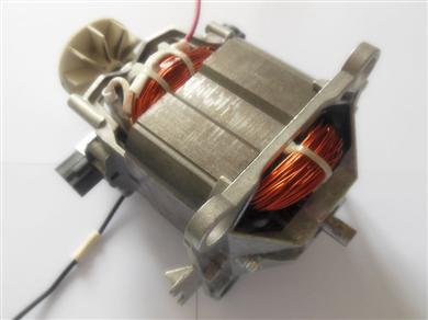 AC series motor