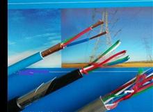 PZY23电缆，PTYY23信号电缆
