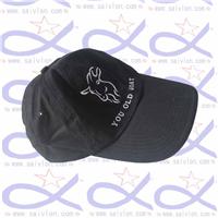 CAP019 cap