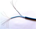RVVZ高阻燃电缆适用于环境温度比较高的场所1X50