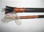 MKVVP电缆|MKVVP矿用防爆控制电缆|MKVVP矿用屏蔽控制电缆