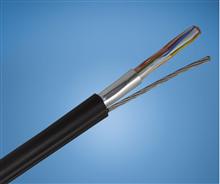 PE绝缘PVC护套铜丝编织屏蔽RS485电缆（护套