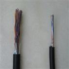 通信电缆WDZ-HYA53-5×2×0.8安防产品库 