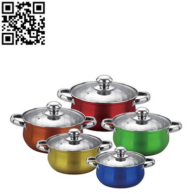 10件庄套锅（10-piece Stainless Steel Cookware Set）ZD-TZG121