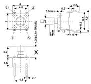 轻触开关  TC-2401  H5