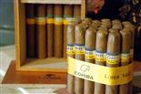 COHIBA SIGLO I 世纪一