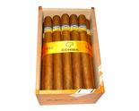 COHIBA Siglo V世纪五