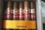 H.upmann magnum 50(10)