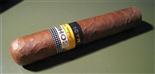 奥秘/Cohiba Maduro 5 Secretos