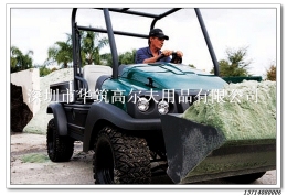 clubcar Special vehicle