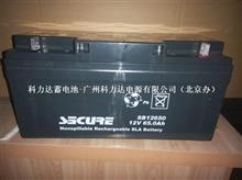 安全（SECURE）蓄电池