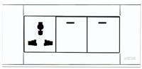 A118-L2K-2DGN  二位双控开关带多用插座