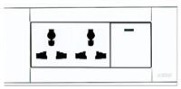 A118-L1K-2DGN  单控开关带二位多功能插座