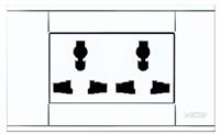 A118-DGN2 二位多功能插座