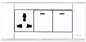 A118-L2K-1DGN  二位单控开关带多用插座