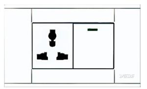 A118-L1K-1DGN  单控开关带多功能插座