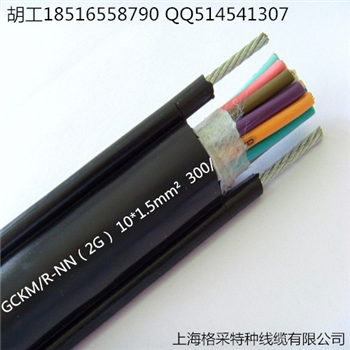 GCKM/R-NN（2G） 10*1.5行车手柄软电缆带钢丝
