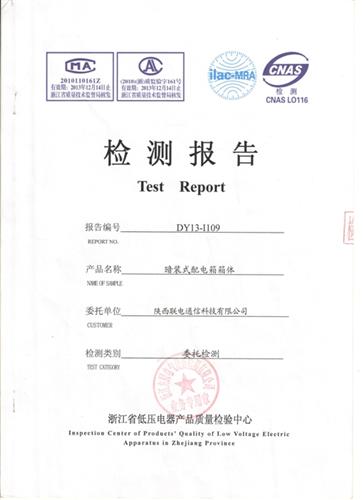 PZ30 lighting distribution box inspection report