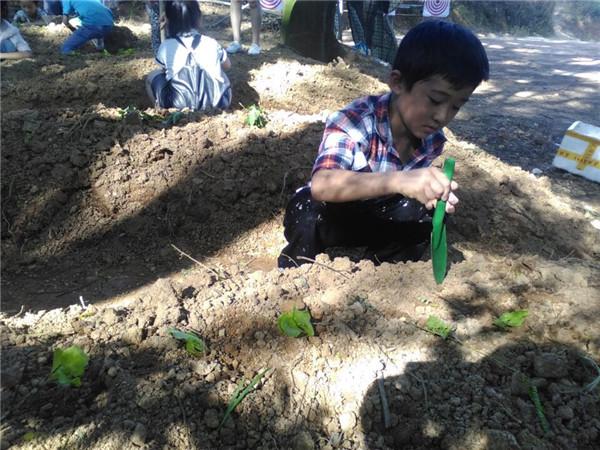 虎门大宁小学3年级班级亲子游来松山湖农家乐亲子拓展活动